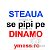 Steaua pe cer Dinamo in cuska