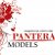 ПРОДЮСЕРСКИЙ ЦЕНТР  "PANTERA MODELS"