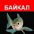 baikalnews