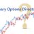 Best Binary Options Bonuses