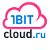 1BITCloud