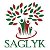 www.saglyk.info