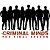 Сериал CRIMINAL MINDS (Мыслить как преступник)