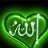 LOVE 💚 ALLAH