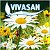 Здоровье из Швейцарии - Vivasan