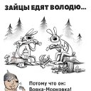 дмитрий цветков