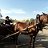 Прокат лошадей в городе Шадринске