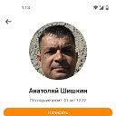 Анатолий Шишкин