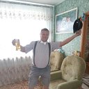 Владимир Поляков