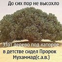 Тимур Каримов