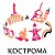 kostroma.online
