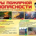 Городская Библиотека