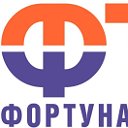 Фортуна Телеком