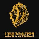 Дмитрий SHATUSH Подзигун Lion Project