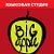 Языковая студия "Big apple"