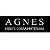 agnes.ru