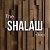 The SHALAШ shop