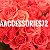 Aaccessories72