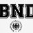 Bundes Nachrichten Dienst (BND)