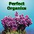 PERFECT ORGANICS