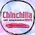 ЧинКлуб - форум о шиншиллах ChinClub