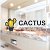 cactusstone.ru