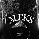 ALEKS ALEKS