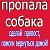 ПОТЕРЯННЫЕ щенки и собаки!москва и все города