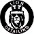 liondetailing