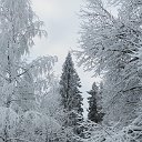 Валерий Ковалев