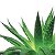 LR aloe vera. качественная продукция для здоровья.