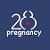 Pregnancy28