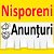 Anunturi in Nisporeni