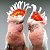 Смешние и красивие попугаи
