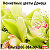 Цветочная Семья Комнатные цветы Орхидеи Донецк