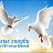 Белые голуби на счастье! Евгений 8919-887-03-32