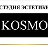 Студия эстетики KOSMO