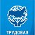 Колпинский район. Трудовая партия России.