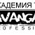 АКАДЕМИЯ ТАНЦА AVANGARD- PRO