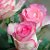 Как,,Le Charme Roses !... ,, - Очарование Роз !...