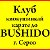 "BUSHIDO" г. СЕРОВ Киокушинкай каратэ-до !!!