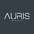 Auris Hotels, Dubai, UAE (Отели Аурис, Дубай, ОАЭ)