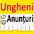 Anunturi in Ungheni