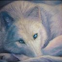 Белая волчица 👑👑