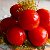 Маринованные помидоры на зиму рецепт с фото