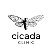 Cicada сlinic