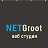 Веб студия "NetGroot" создание, продвижение сайтов