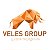 Курсы трейдеров VelesGroup