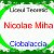 Liceul Teoretic "Nicolae Mihai"