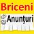 Anunturi in Briceni